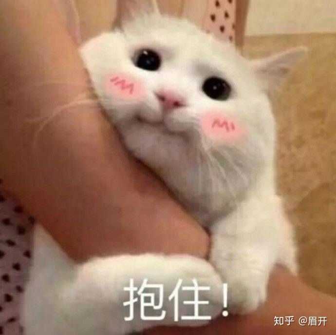 有哪些适合情侣之间的表情包?