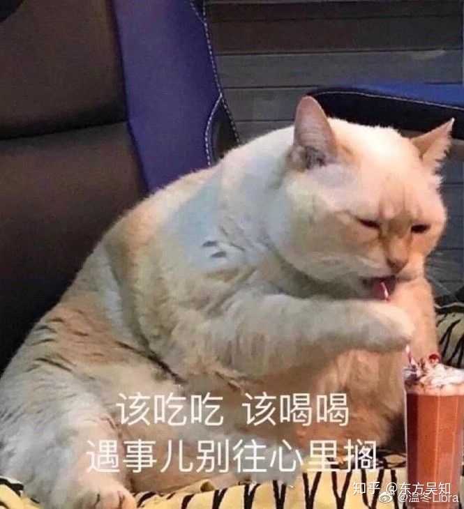 有哪些哄女孩子的表情包?