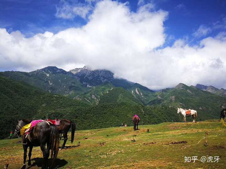 国内有哪些冷门但有特色的旅游地点?
