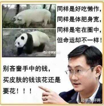 对了,怼龙王的图你们要么,我截个图,要的话我等会再发