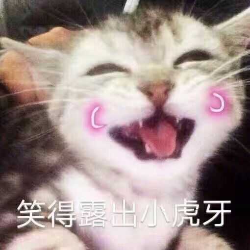 有哪些可爱的表情包?