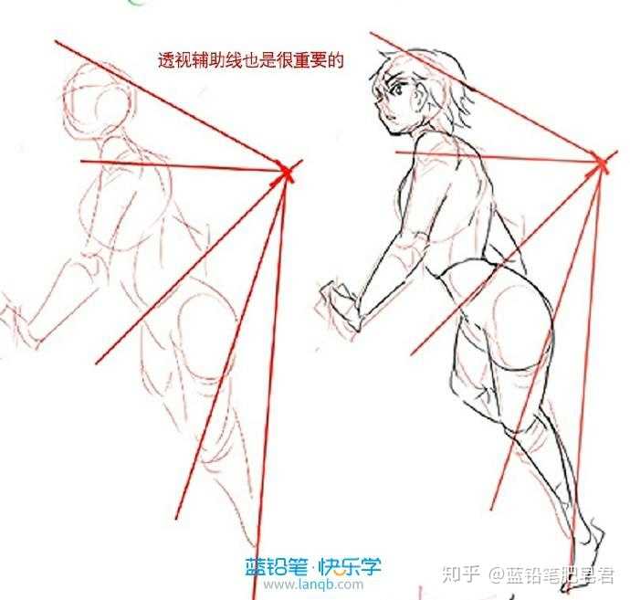 人体透视对人体的张力和表现力十分重要,如何让你笔下的人物饱满起来