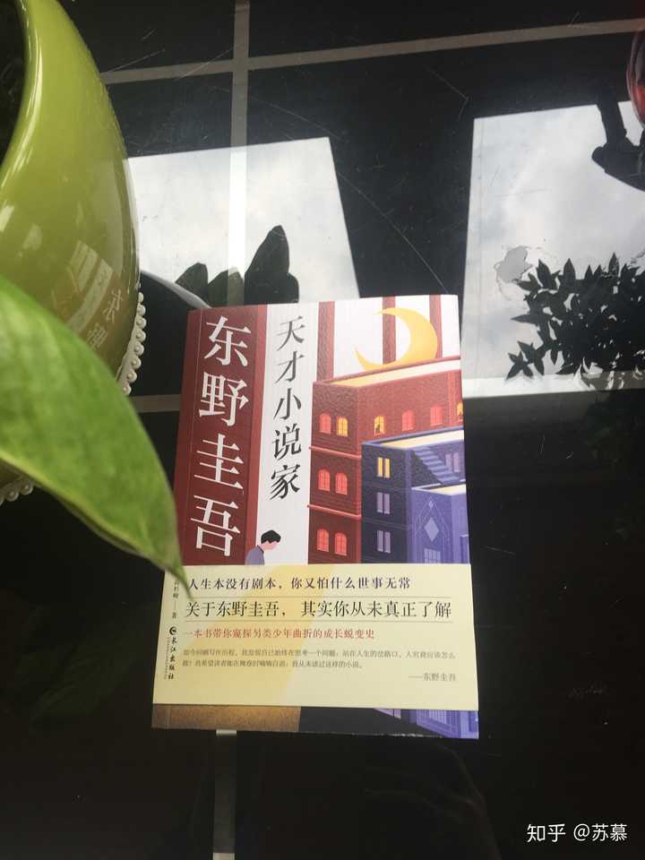 【书评汇总】你如何评价《东野圭吾:天才小说家》?