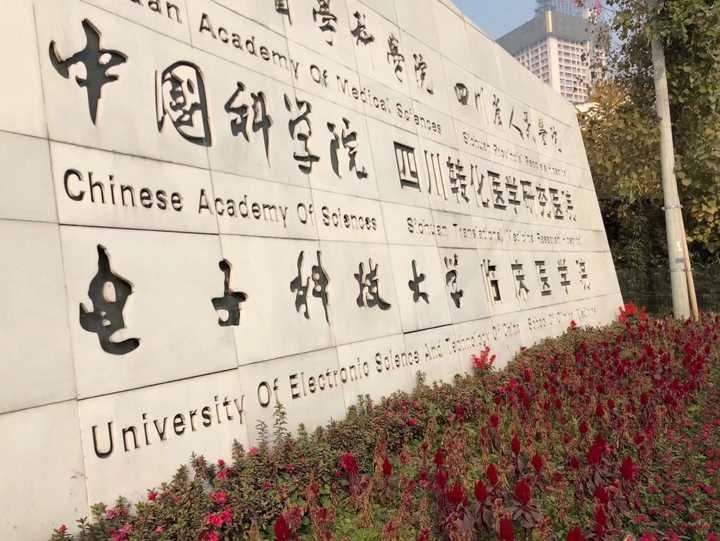 电子科技大学医学院怎么样?