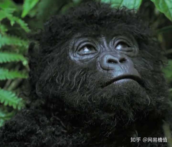 有哪些搞笑到失声的视频或电影?