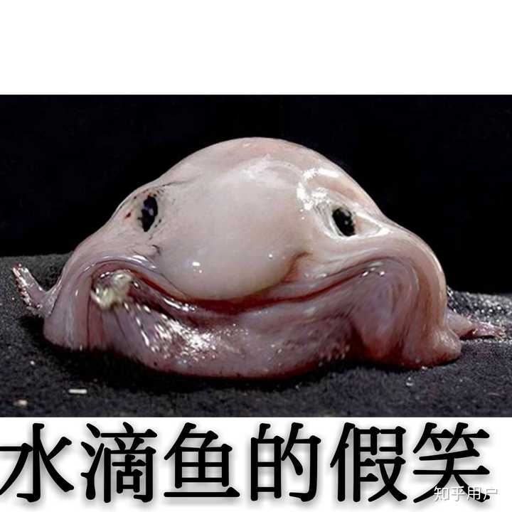 海洋里到底有什么可怕的东西?