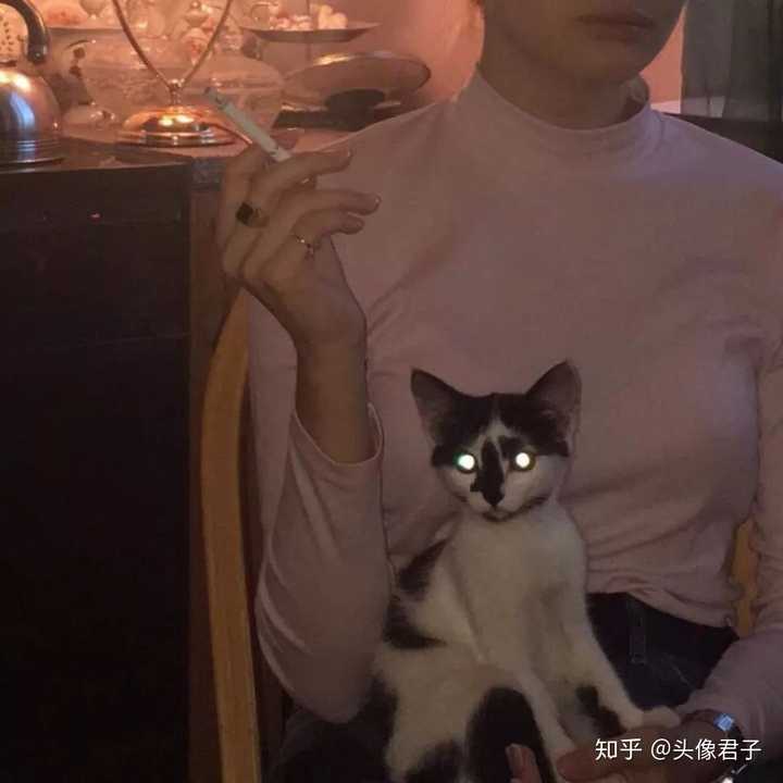 有没有男生抱着猫的头像呀?