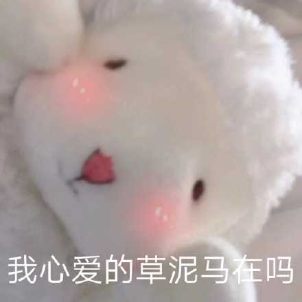 请问有没有抖音 小羊的表情包?