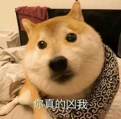 有什么适用于和老公/男票撒娇的可爱表情包?