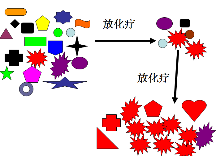 生物学行为的肿瘤细胞,在其中就有代表对放化疗耐药的红色的肿瘤细胞