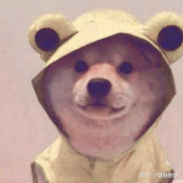 求狗的头像,最好有点含义?