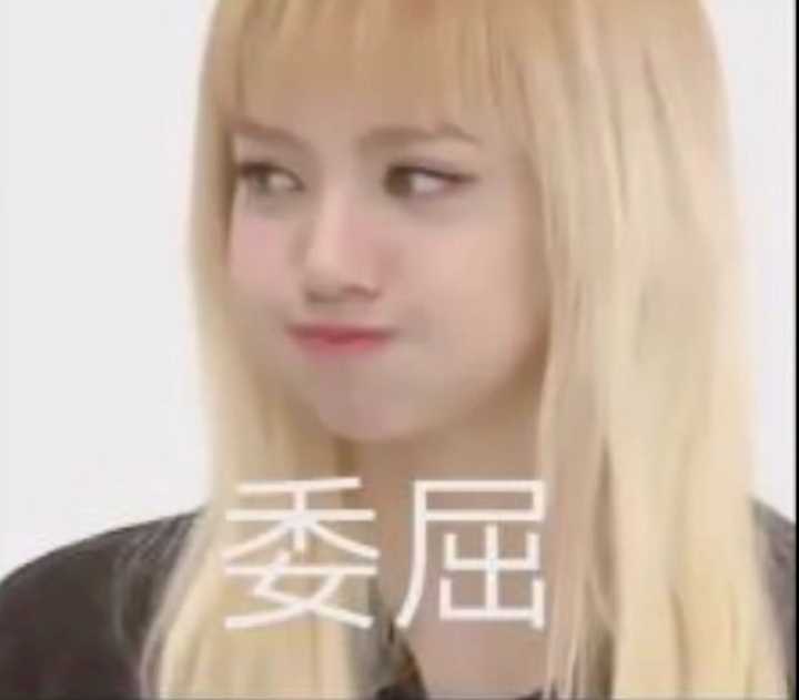 blackpink4人沙雕头像,Blackpink壁纸四人 有没有blackpink的沙雕表情包,拿出来大家都乐呵一下?