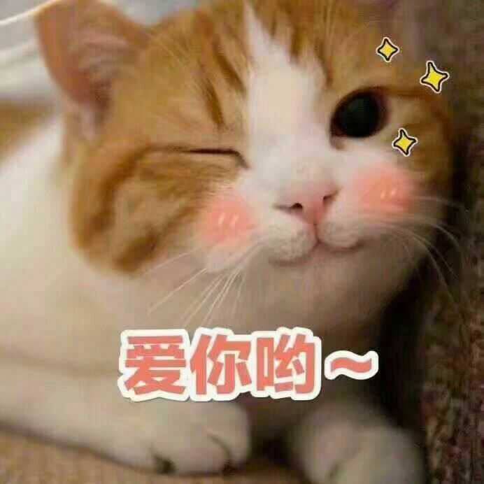 情侣表情包的问题中, 浏览了大概上百个回答, 在几千张甜甜的表情包中