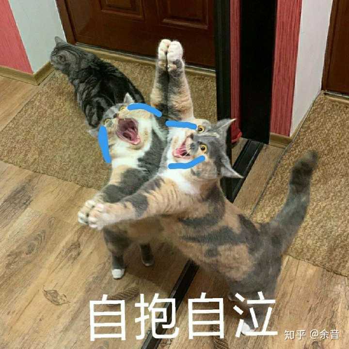 嘿嘿嘿 日常用的沙雕表情包
