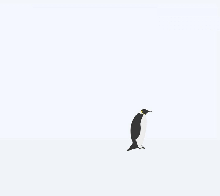                     孤独的企鹅