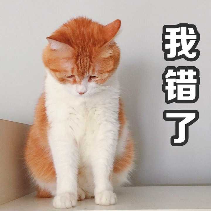 有没有可以给对象发的撒娇的表情包?
