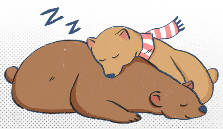 为什么熊冬眠可以睡很久,而人类却不行?