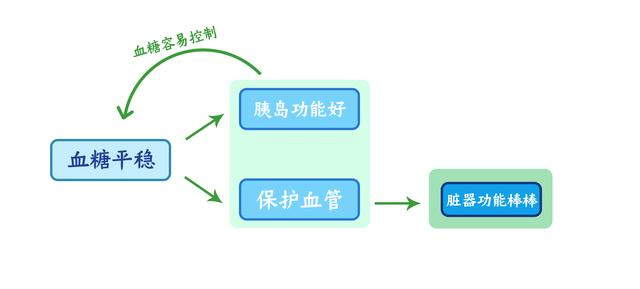 保护和修复胰岛功能,需要多管齐下