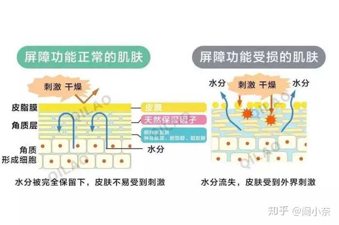 过度清洁导致的角质层受损怎么恢复?