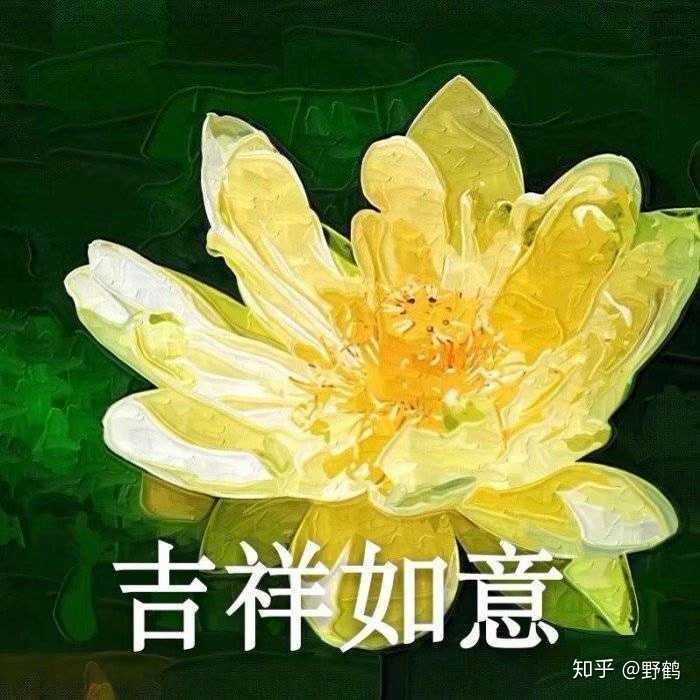 有没有很土或者特别的微信头像和签名看到第一眼就不想加的那种?