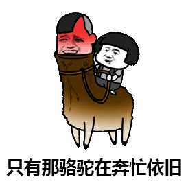 有哪些你认为沙雕搞笑的表情包?