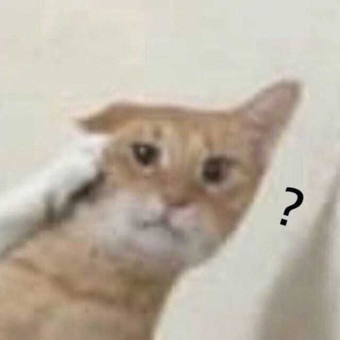 有没有傻傻的头像?