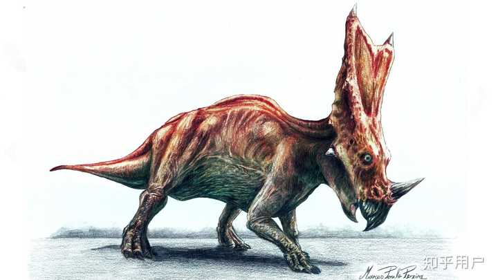 牛角龙) chasmosaurus belli (隙龙) utahceratops gettyi (犹他角龙)