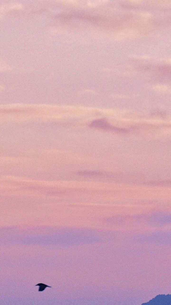 有没有适合网易云音乐的背景图?