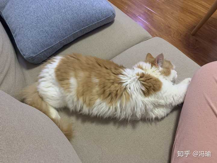伸懒腰