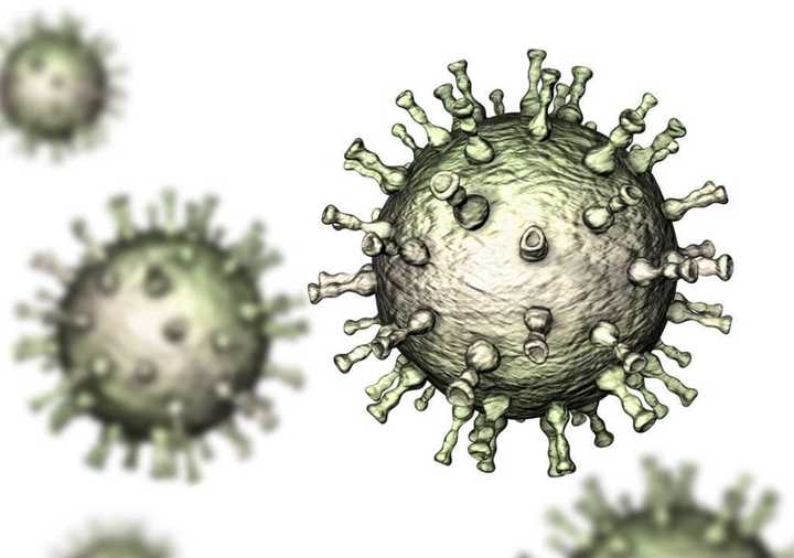水痘-带状疱疹病毒(图源:百度图片)