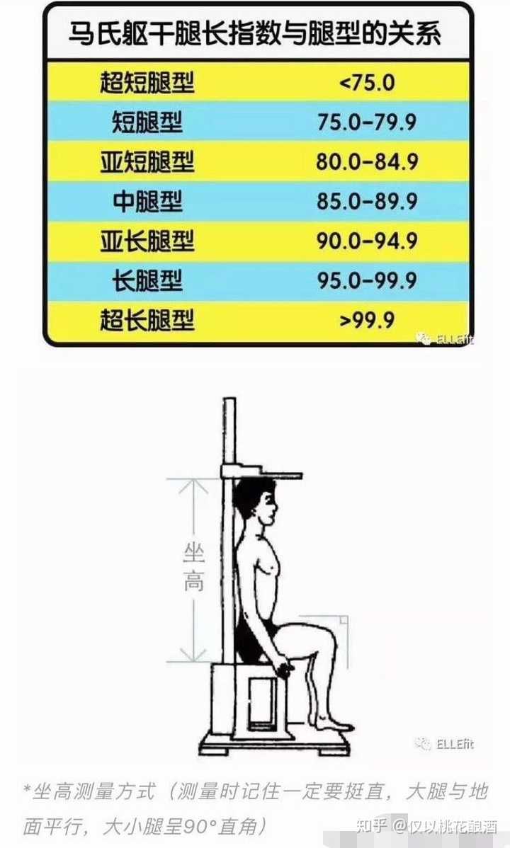 个子矮,但是腿比身高相仿的人长一些是什么体验?