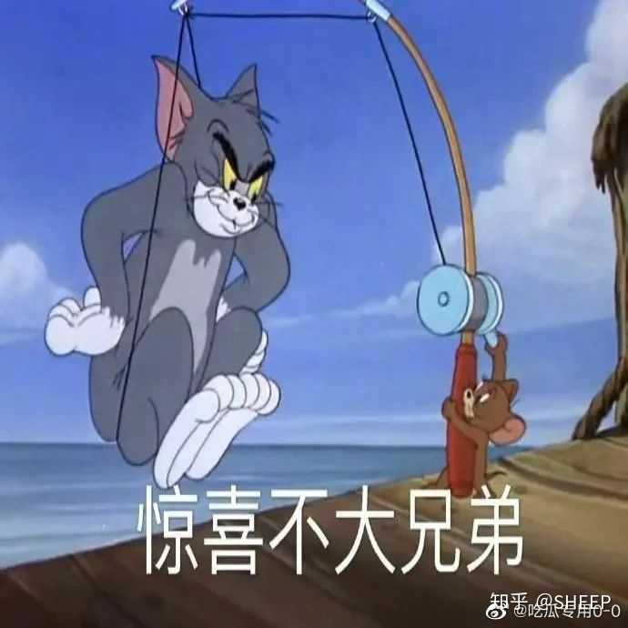 论,女生相册里奇奇怪怪的表情包 ?