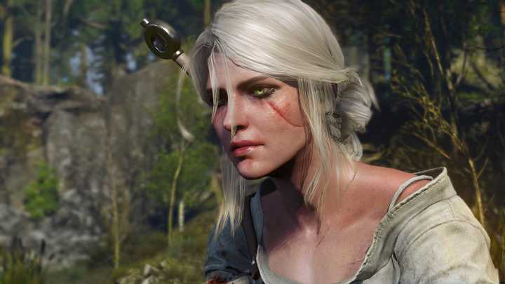 如何评价猎魔人(the witcher)这部小说?