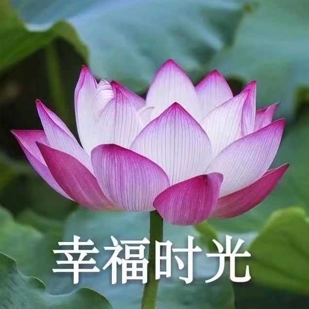 我姐加了我微信,我之前都不敢用自拍当头像……可能她也不会注意这个