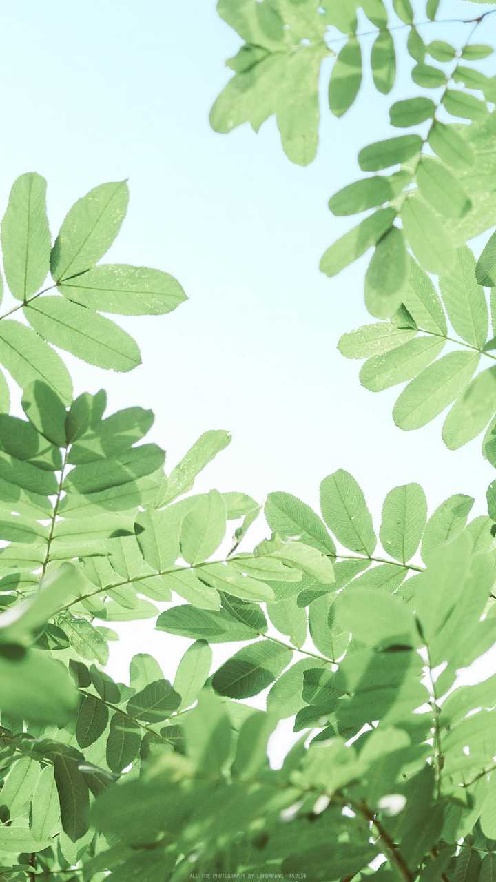 夏天到了,有没有看起来很清爽干净的高清壁纸?