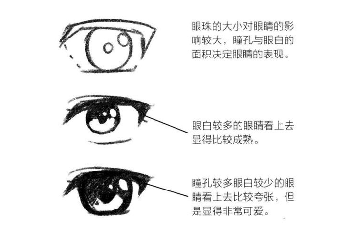 眼睛主要需要画出两个圆,一个是高光,一个是瞳仁.