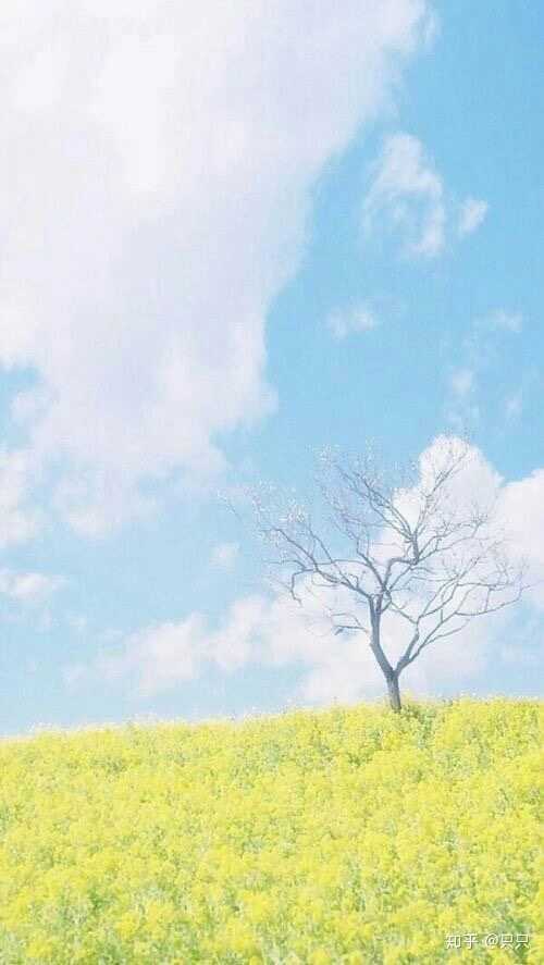 你最喜欢的微信背景图是什么