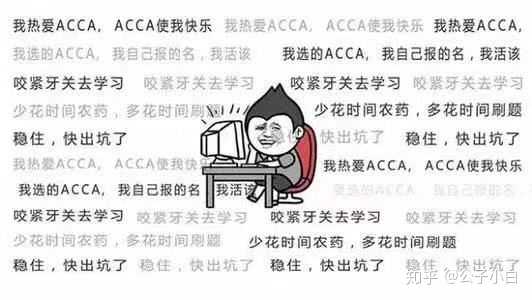 有acca表情包吗?