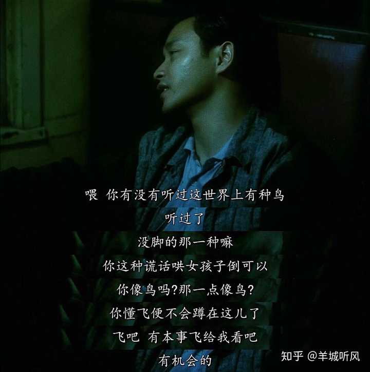 《阿飞正传 真正想表达是?