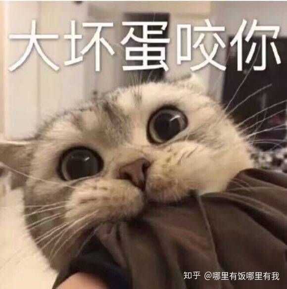 有没有可以给对象发的撒娇的表情包?