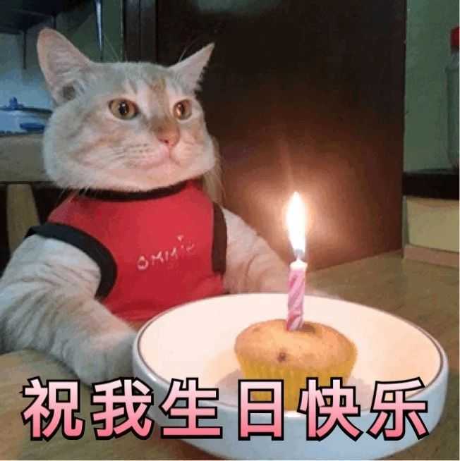 有什么祝自己生日快乐的表情包吗?