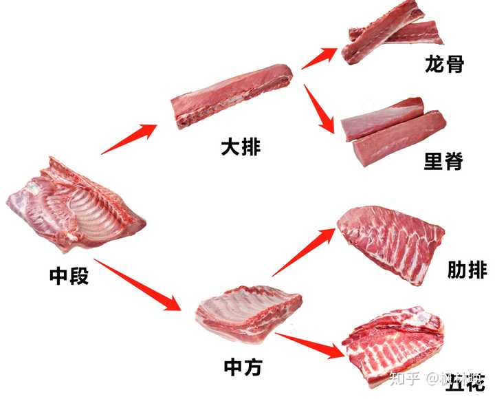 五花肉是猪的哪一块,跟里脊肉比价格怎么样?