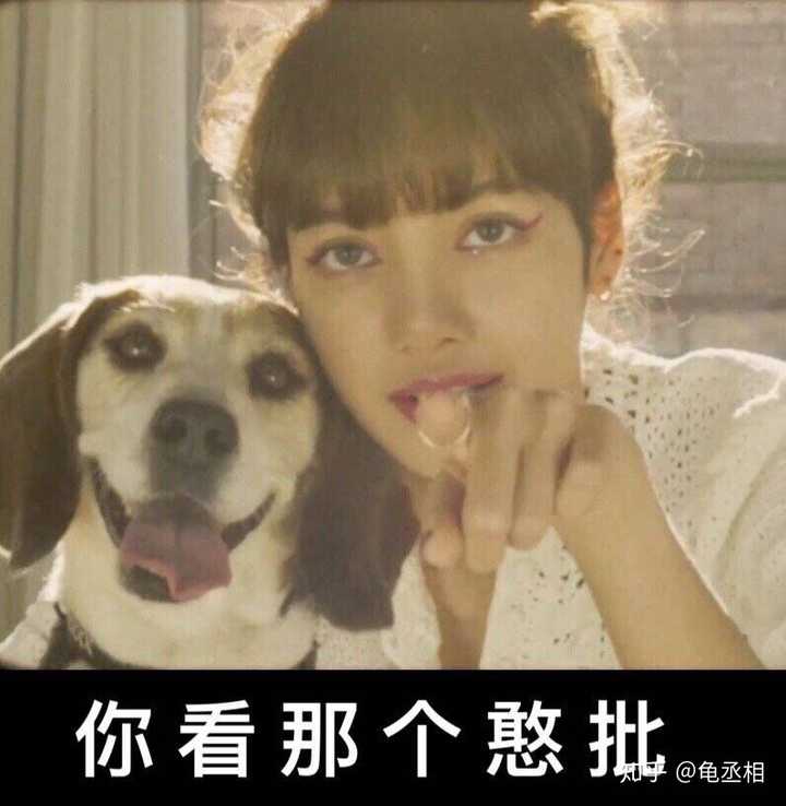 black pink 中lisa的表情包有人有吗?