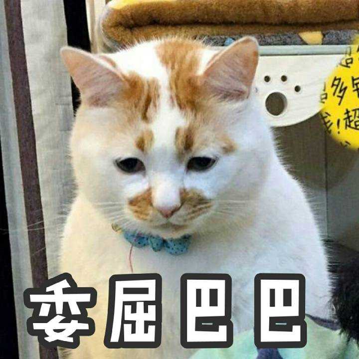 就跟上面的表情包一样吧,单身好,想跟谁好跟谁好哼.