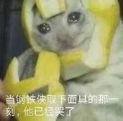 有没有什么比较卑微的表情包 或者那种可以表达自己内心绝望和看破
