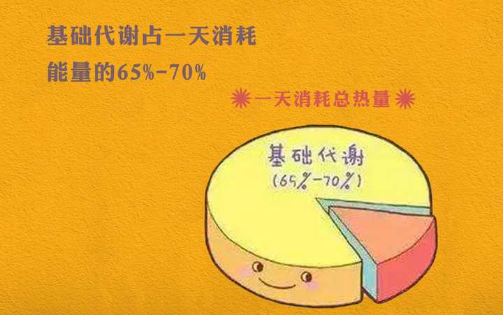 每天消耗的热量(基代 运动消耗 食物热效应)   摄入的热量 = 250~500