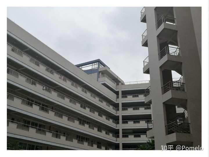 广州大学的校园环境如何?
