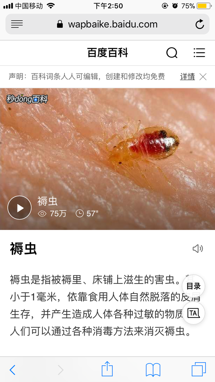褥虫很小,幼虫似乎是透明的,长大之后就是通体红色,捏死了还会爆出