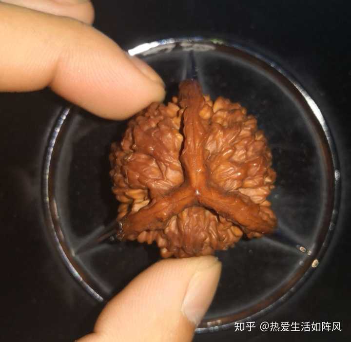 文玩核桃有哪些异形品种?