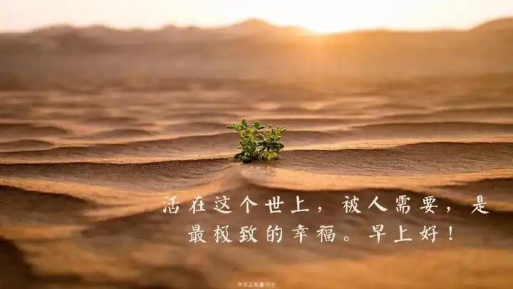 求问有哪些比较励志激励的原耽句子?